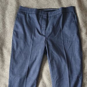 Womens Zara Basics Collectiin Blue Pants Size Xl